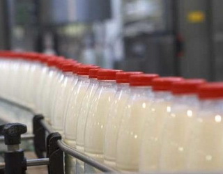 За п’ять місяців виробництво молока скоротилося на 1,3%